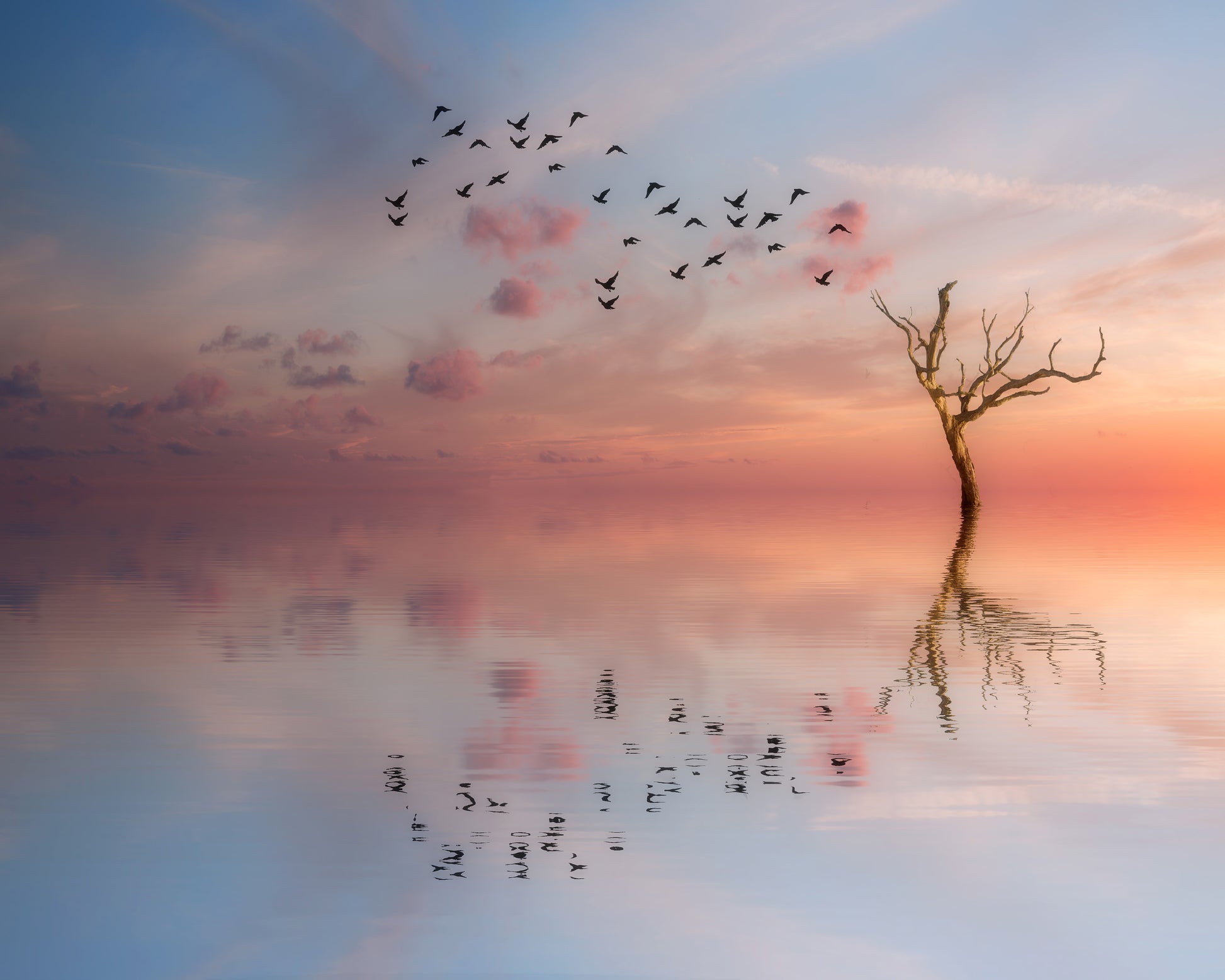 Nature's Peace