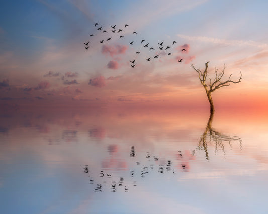 Nature's Peace