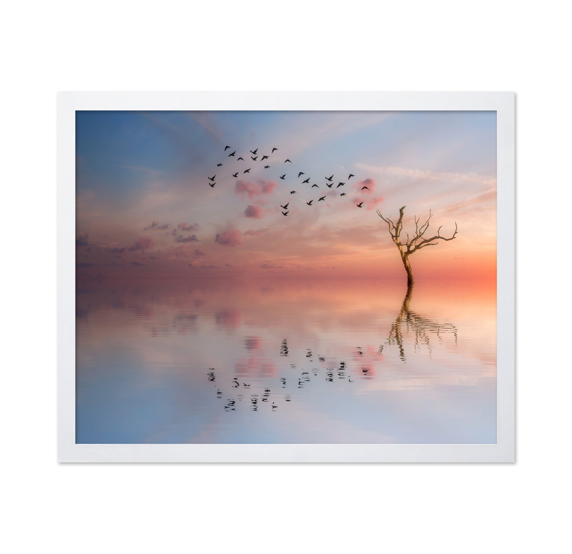 Nature's Peace