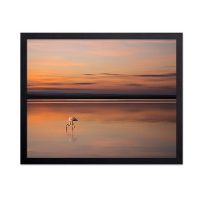 Golden Solitude