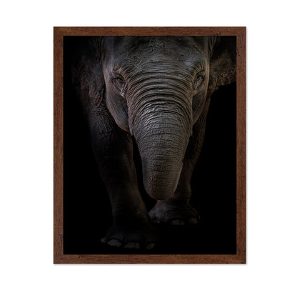 Dumbo