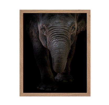 Dumbo