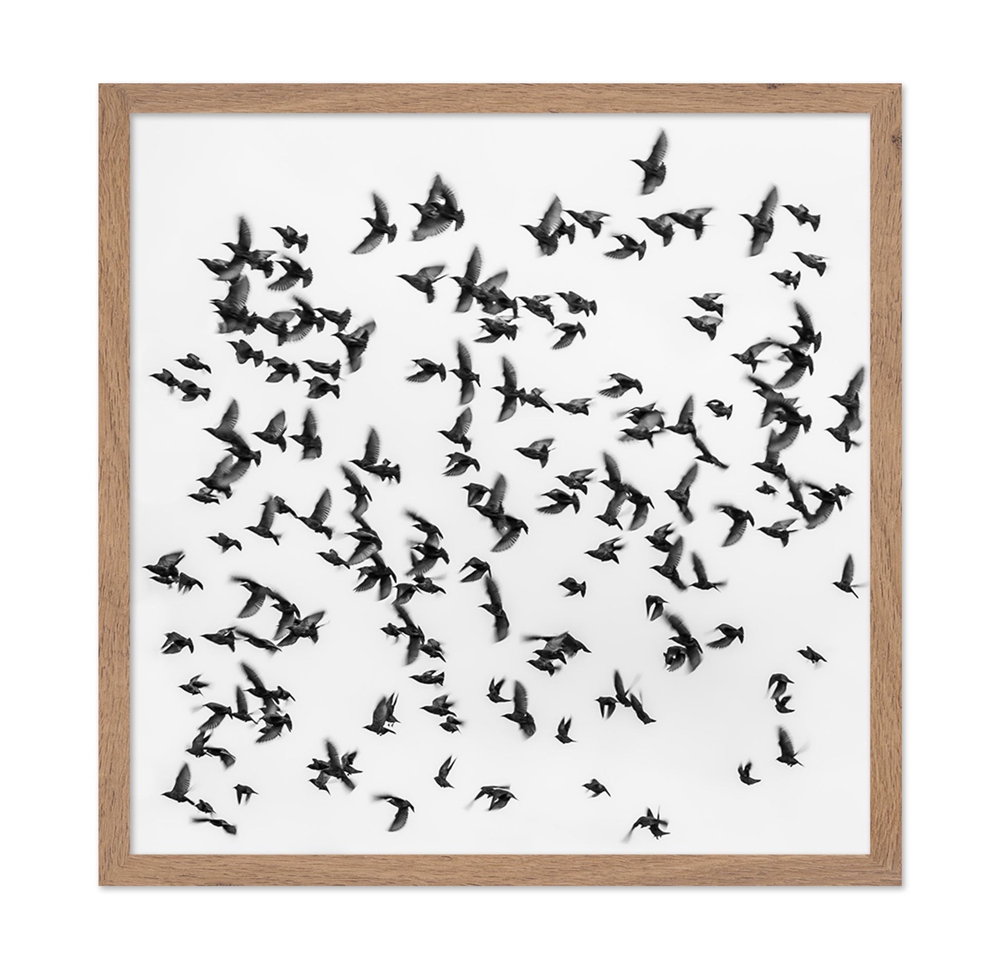 The Great Migration