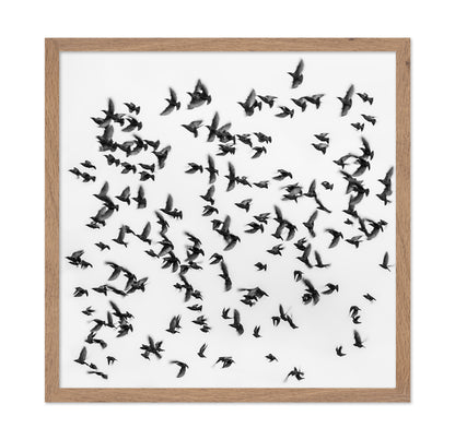 The Great Migration