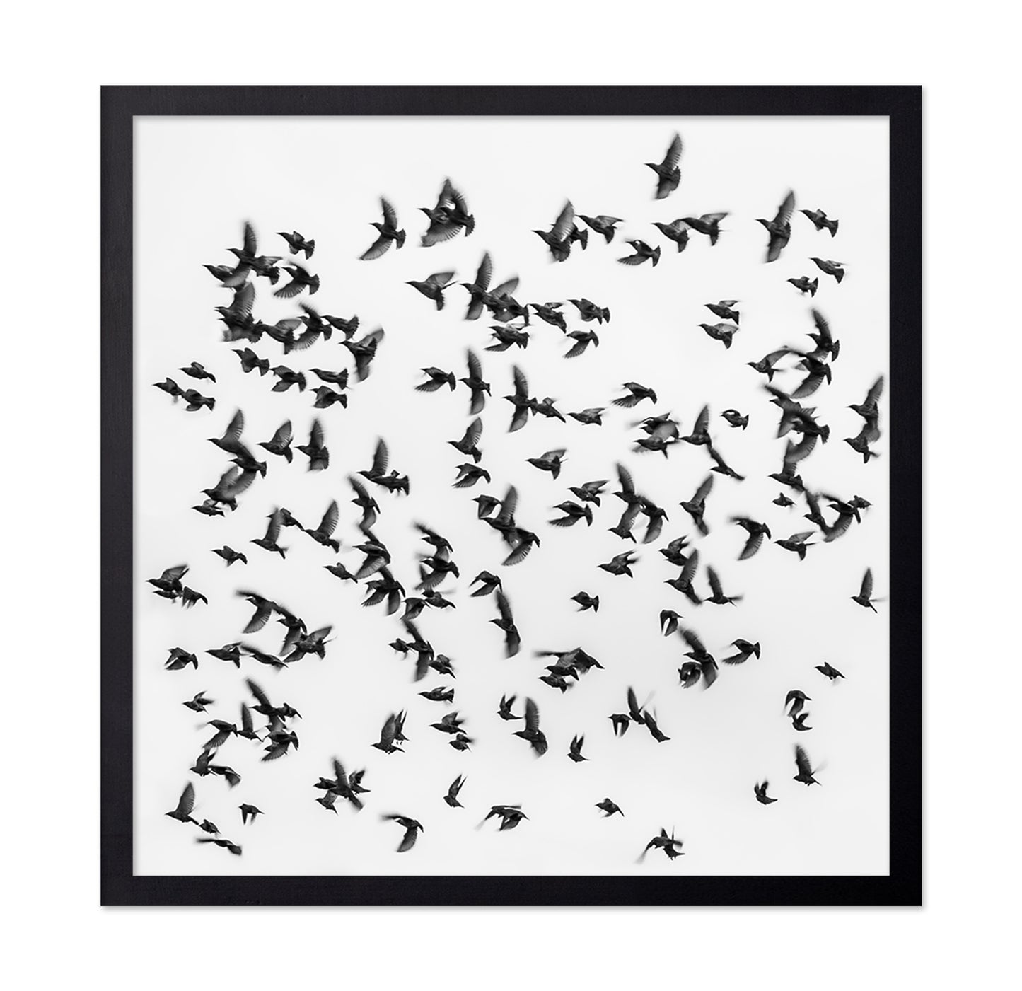 The Great Migration