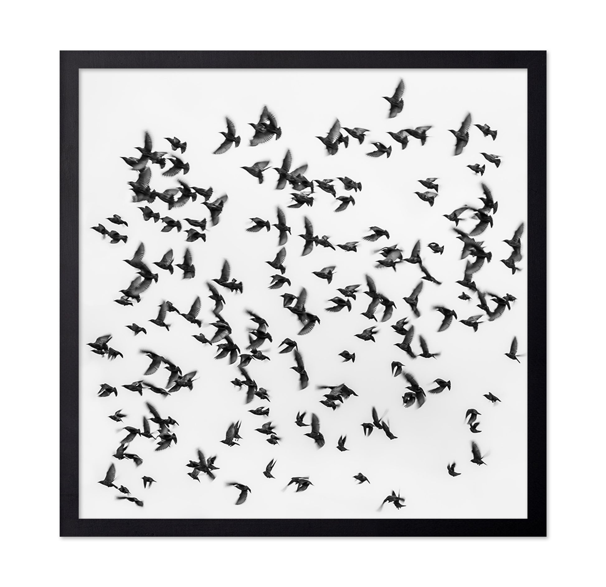 The Great Migration
