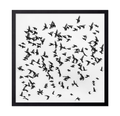 The Great Migration