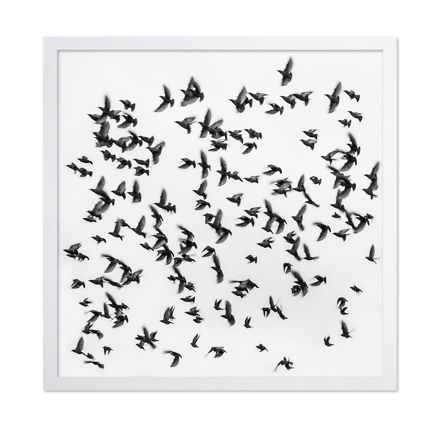 The Great Migration