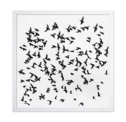 The Great Migration