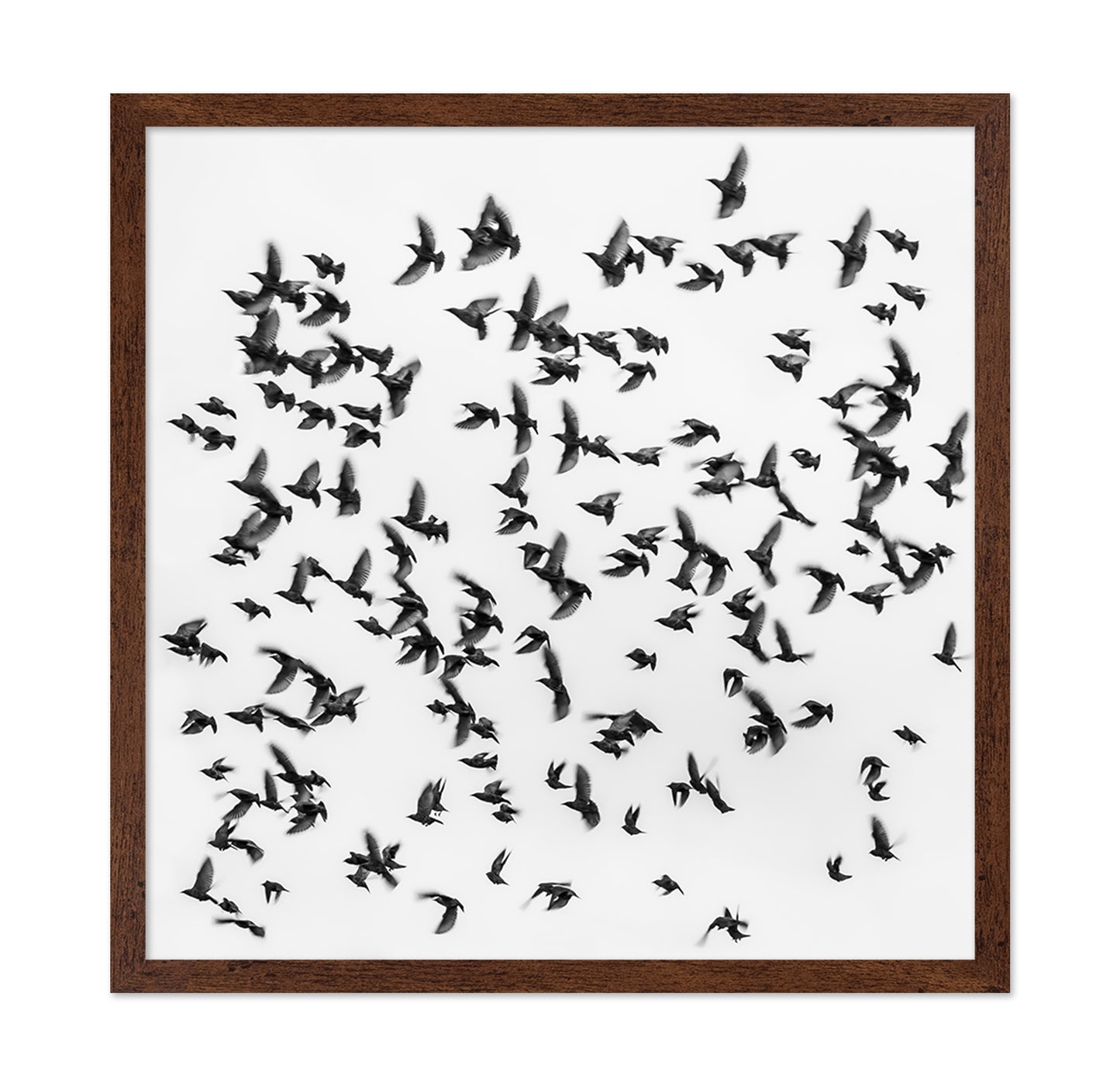 The Great Migration