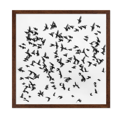 The Great Migration