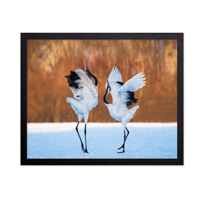The Dance Of Love