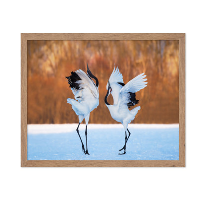 The Dance Of Love