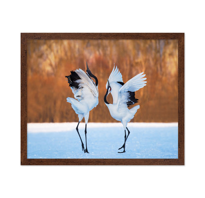The Dance Of Love