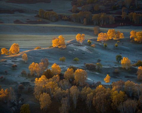 Prairie Light