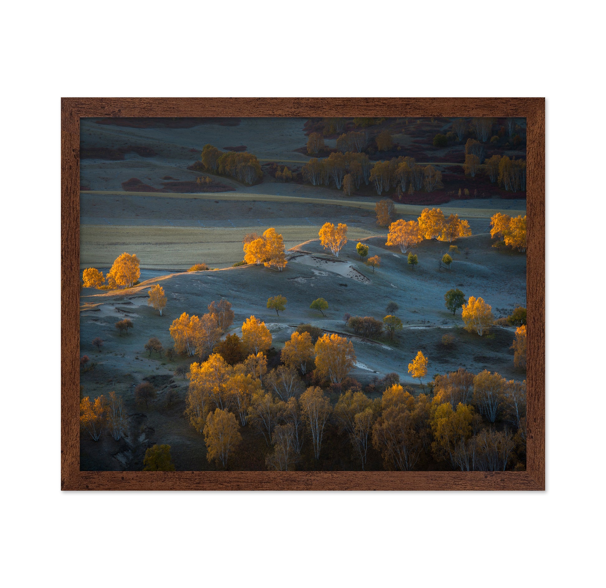Prairie Light