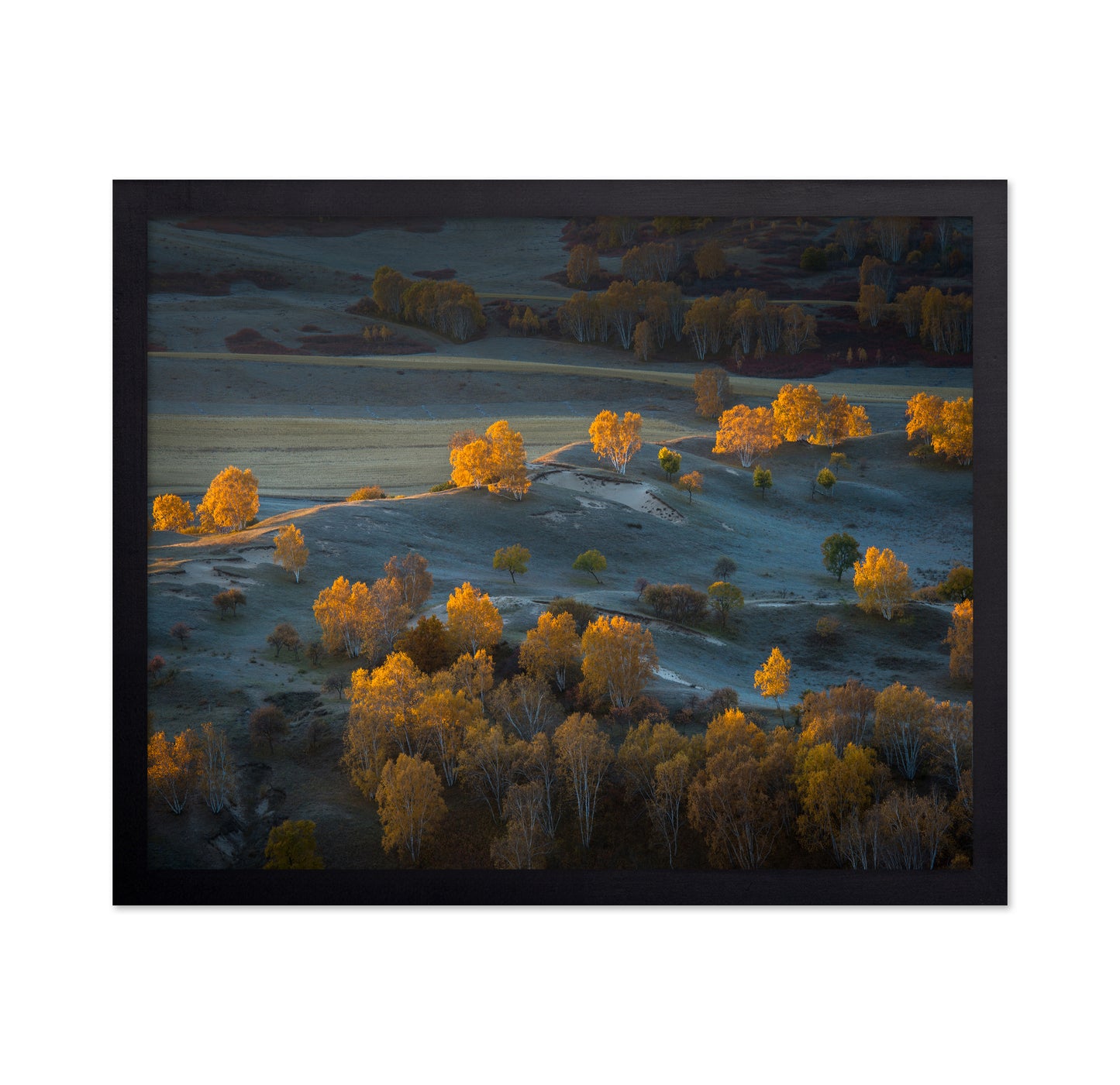 Prairie Light