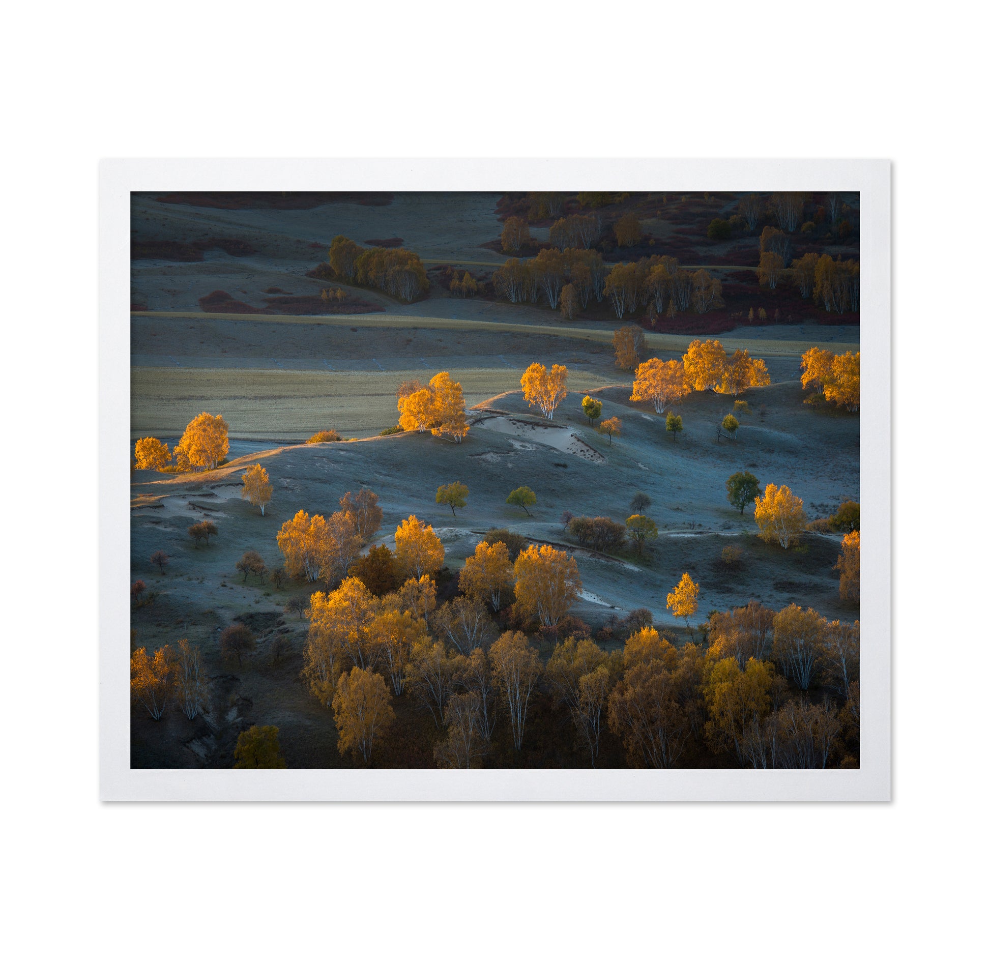 Prairie Light