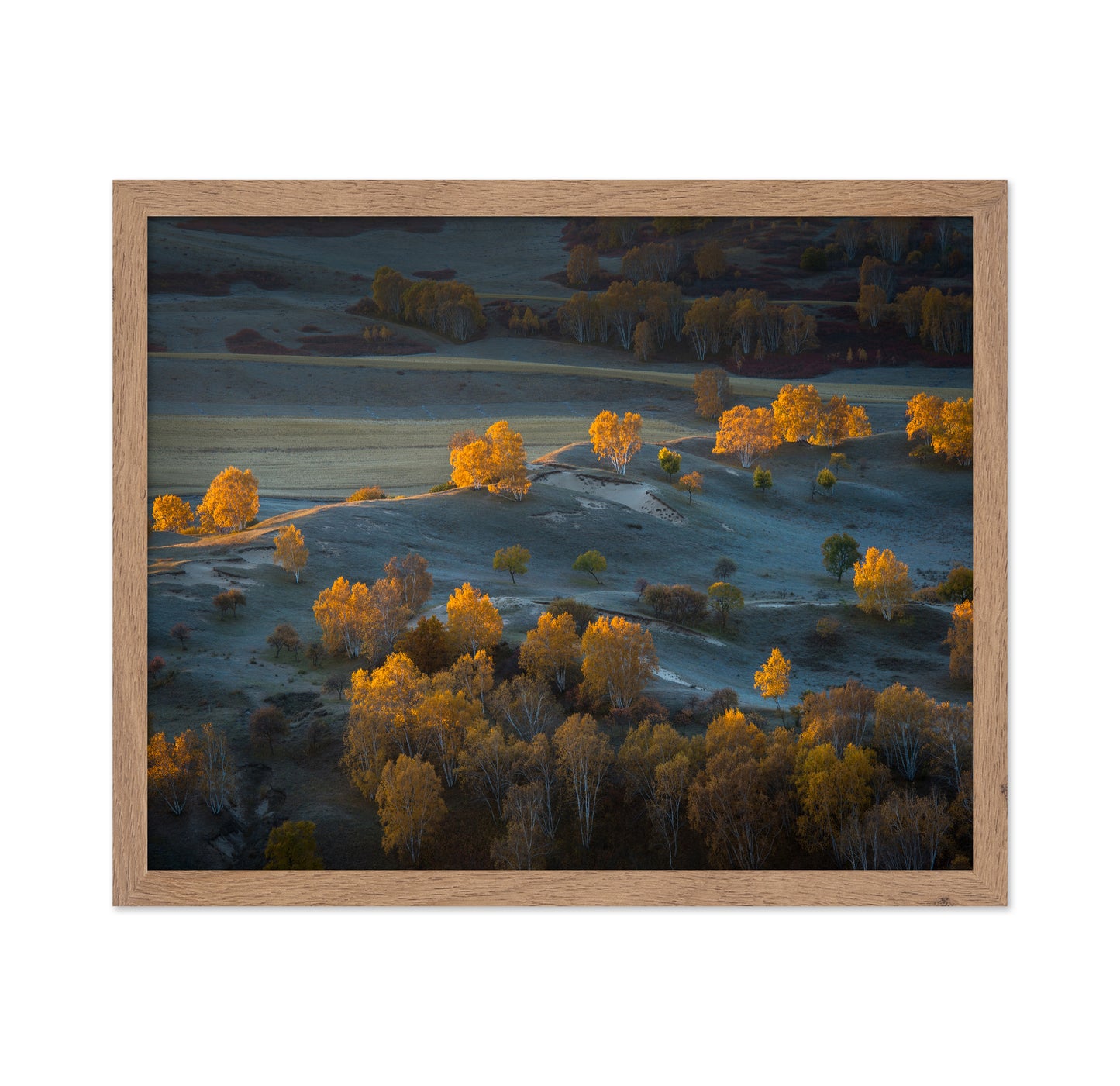Prairie Light