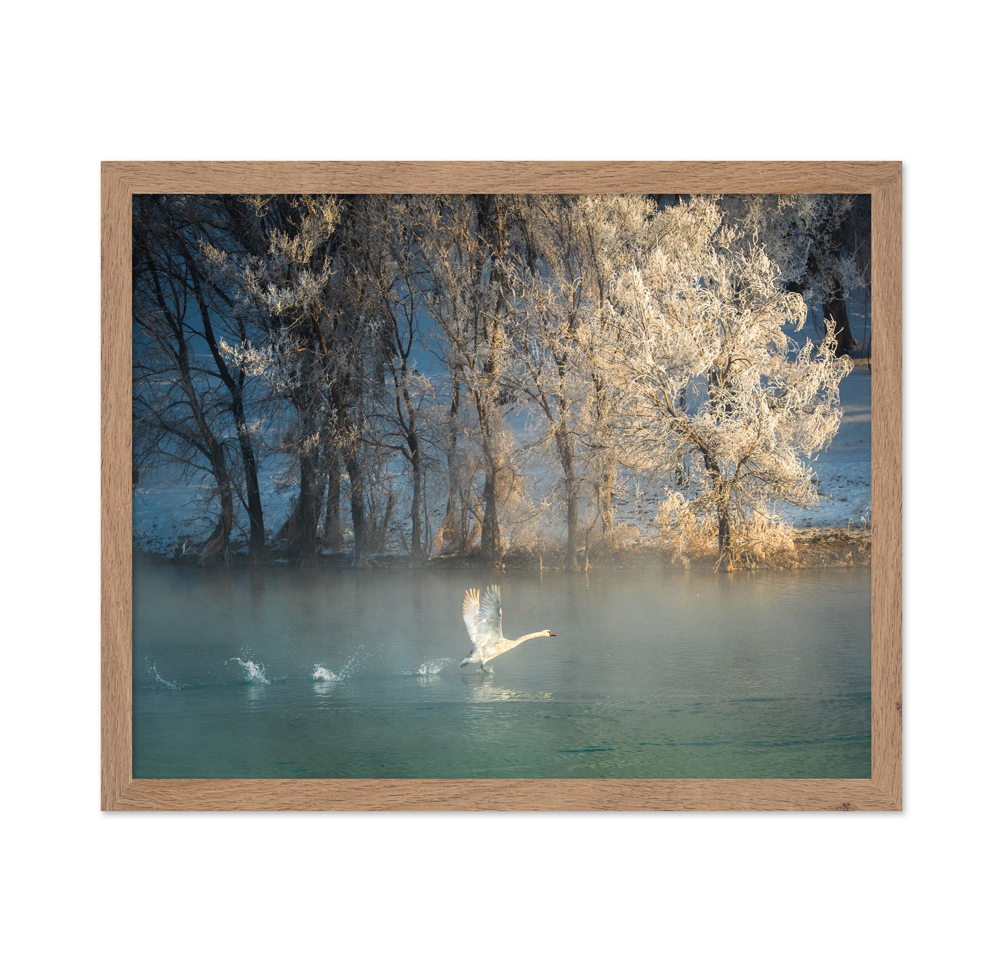 Spirit Of A Swan