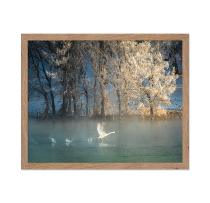 Spirit Of A Swan