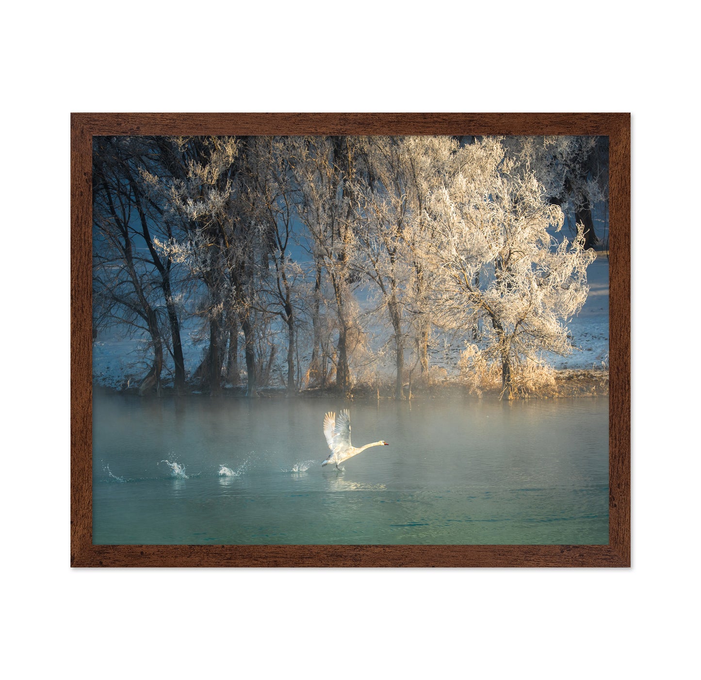 Spirit Of A Swan