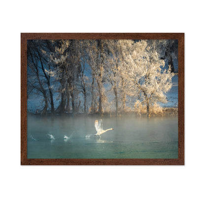 Spirit Of A Swan