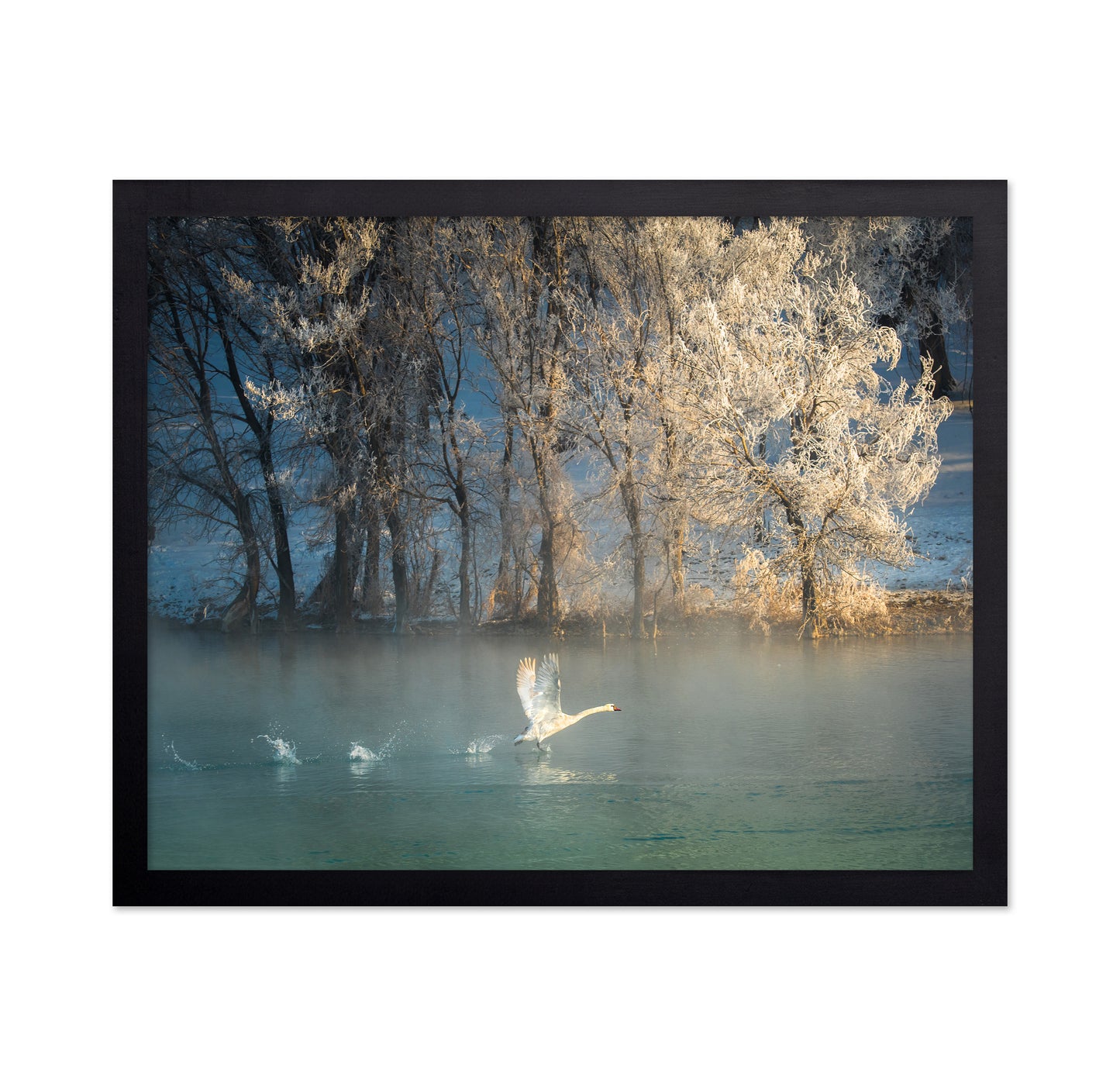 Spirit Of A Swan