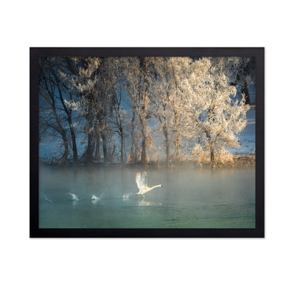 Spirit Of A Swan
