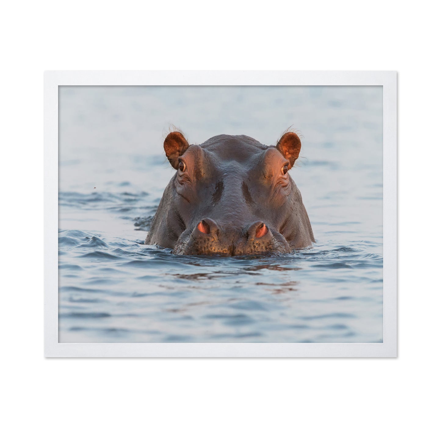 On Chobe River