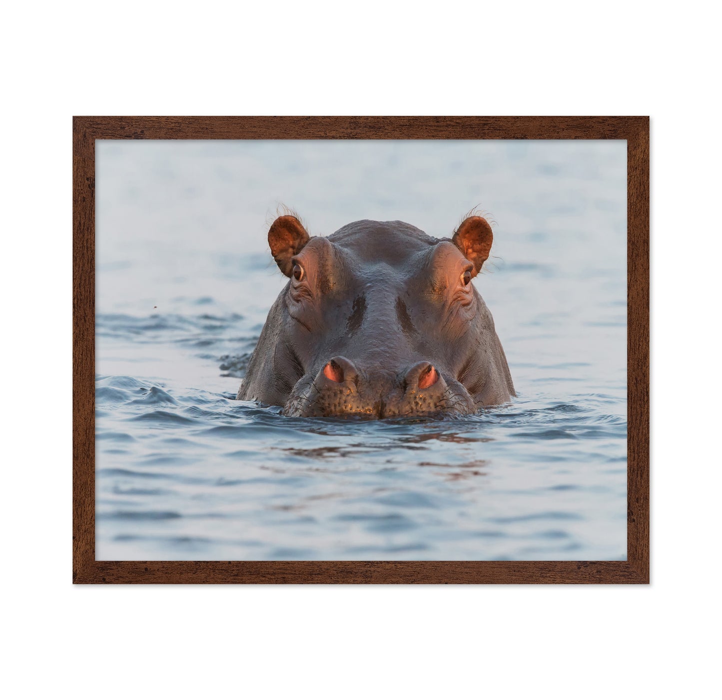 On Chobe River