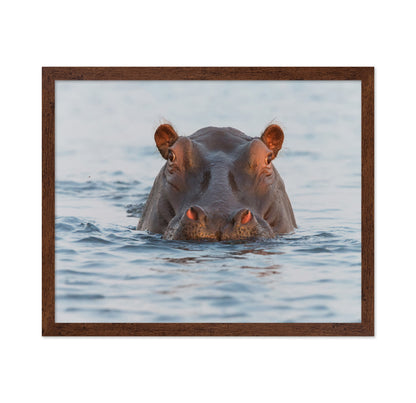 On Chobe River