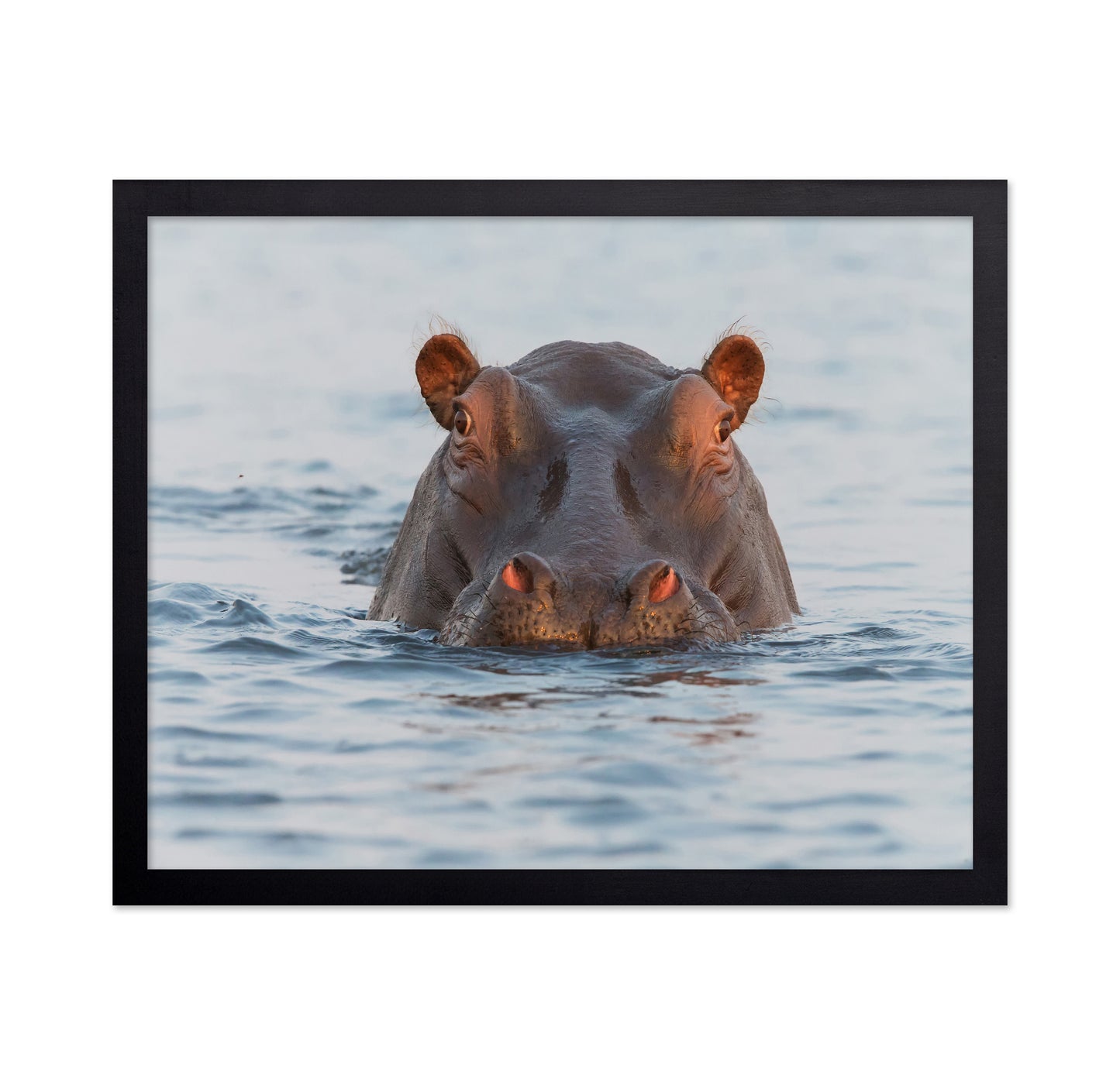 On Chobe River