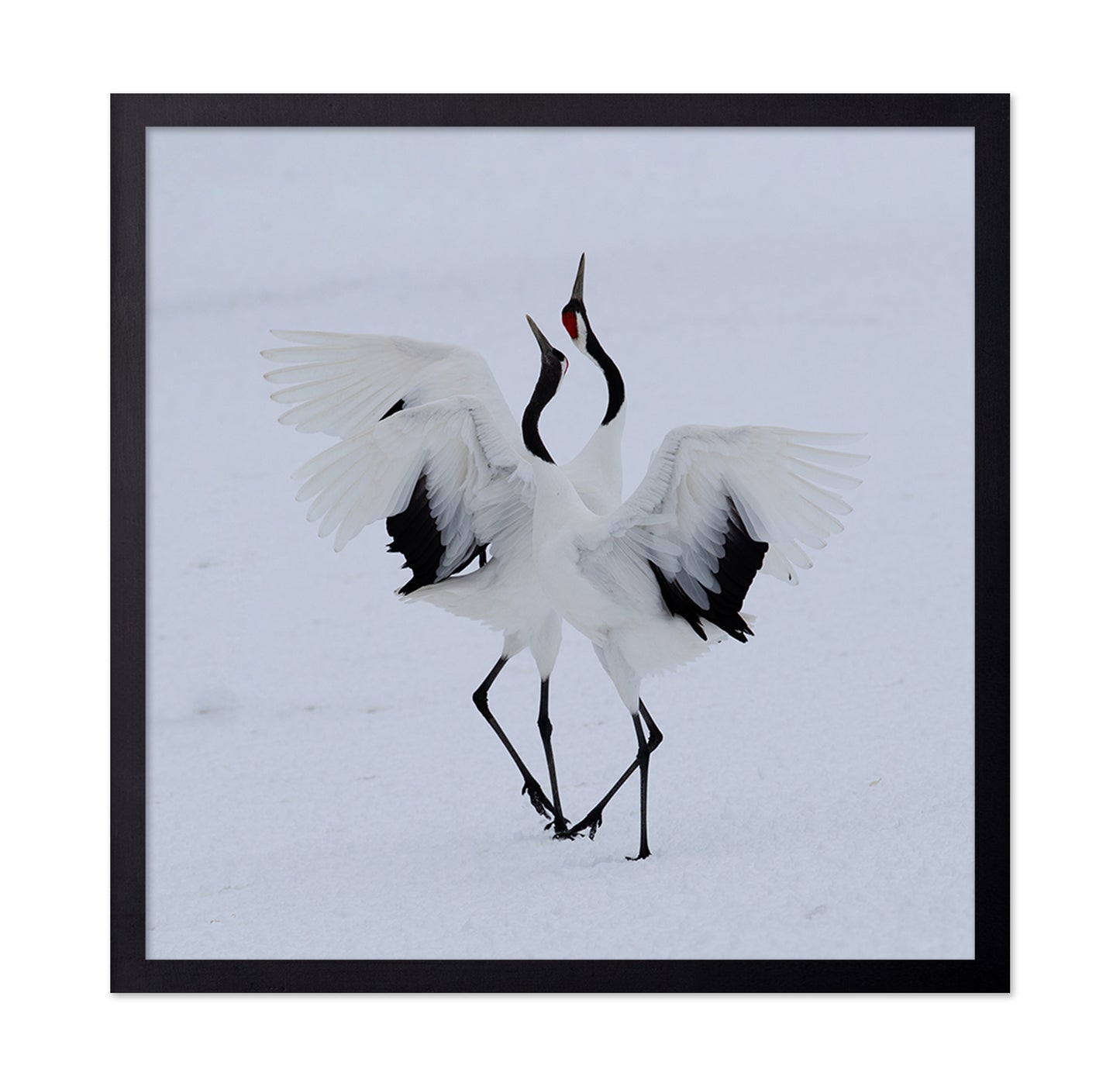 Dancing In The Snow