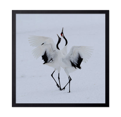 Dancing In The Snow