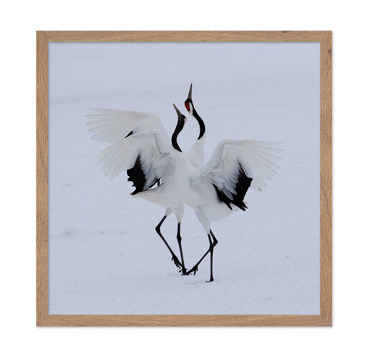 Dancing In The Snow