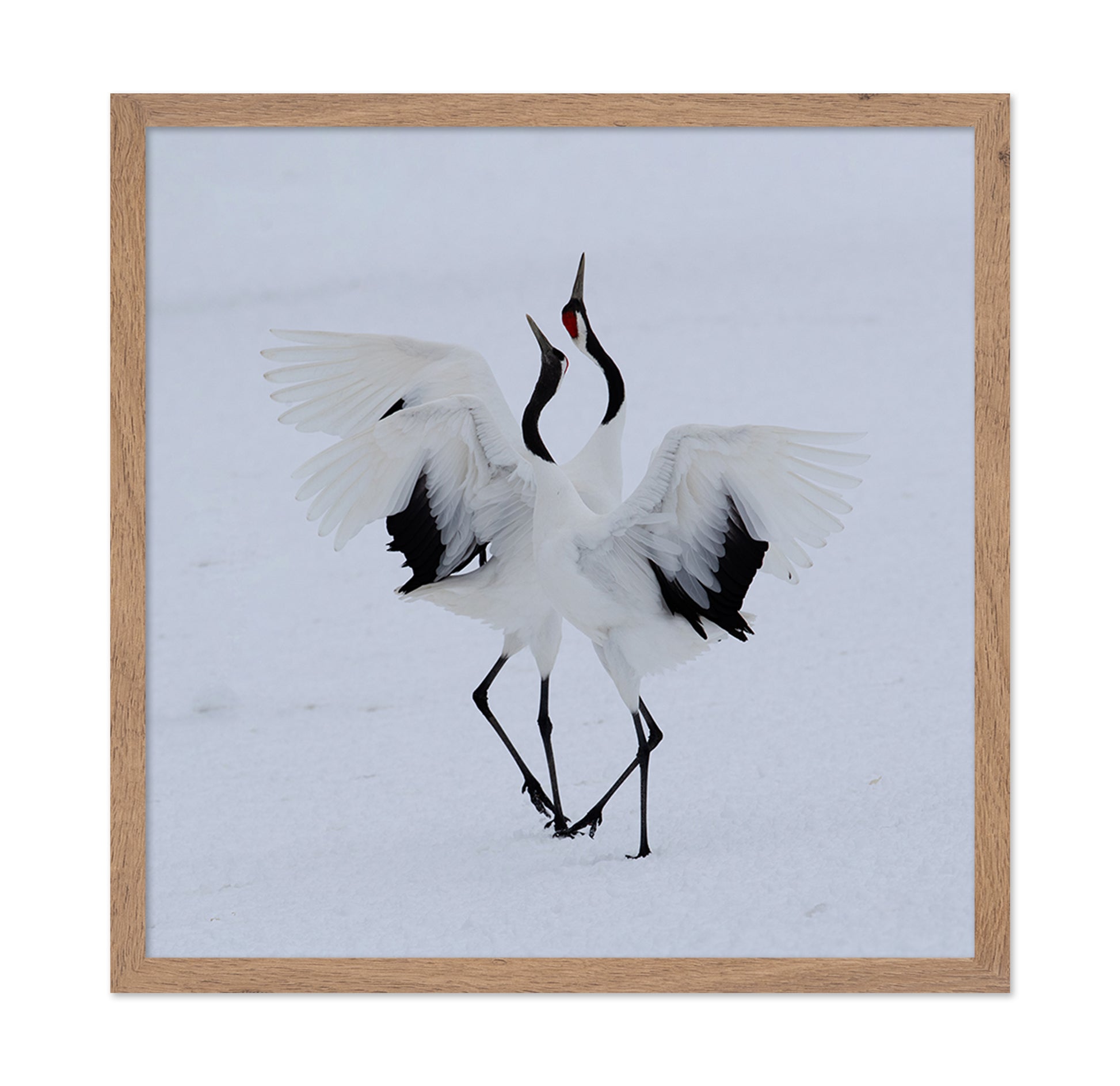 Dancing In The Snow