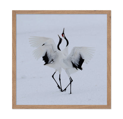 Dancing In The Snow