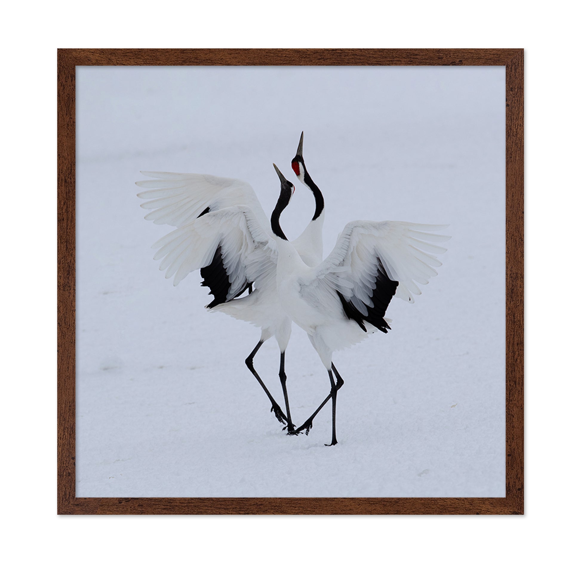 Dancing In The Snow