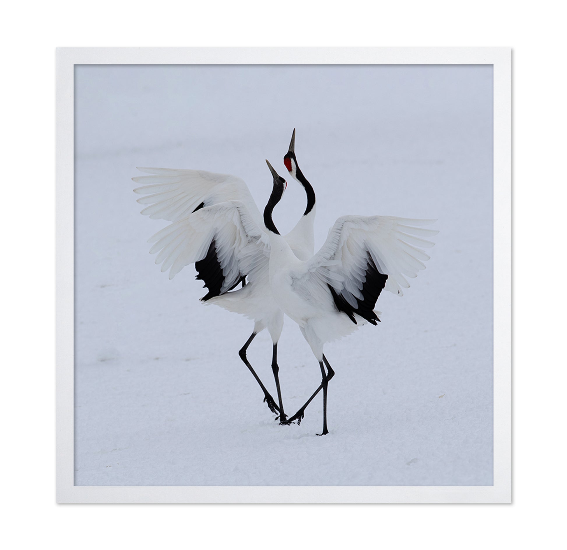 Dancing In The Snow
