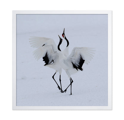 Dancing In The Snow