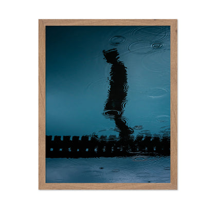 Melancholia