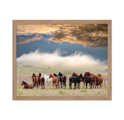 Horse Herd