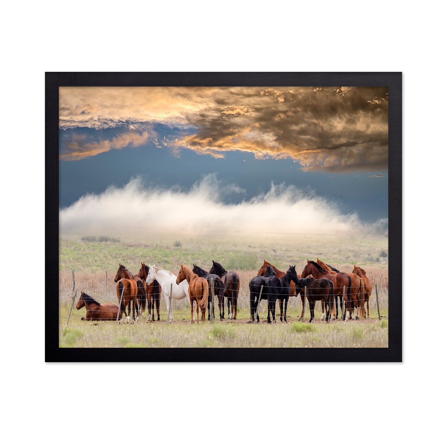 Horse Herd