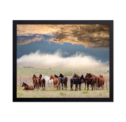 Horse Herd