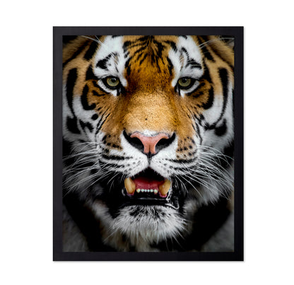 Intense Tiger Portrait