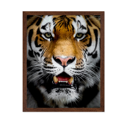 Intense Tiger Portrait