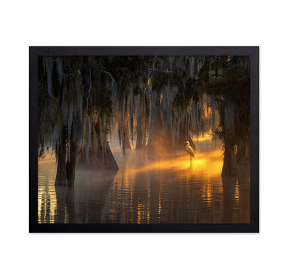 Under Spanish Moss