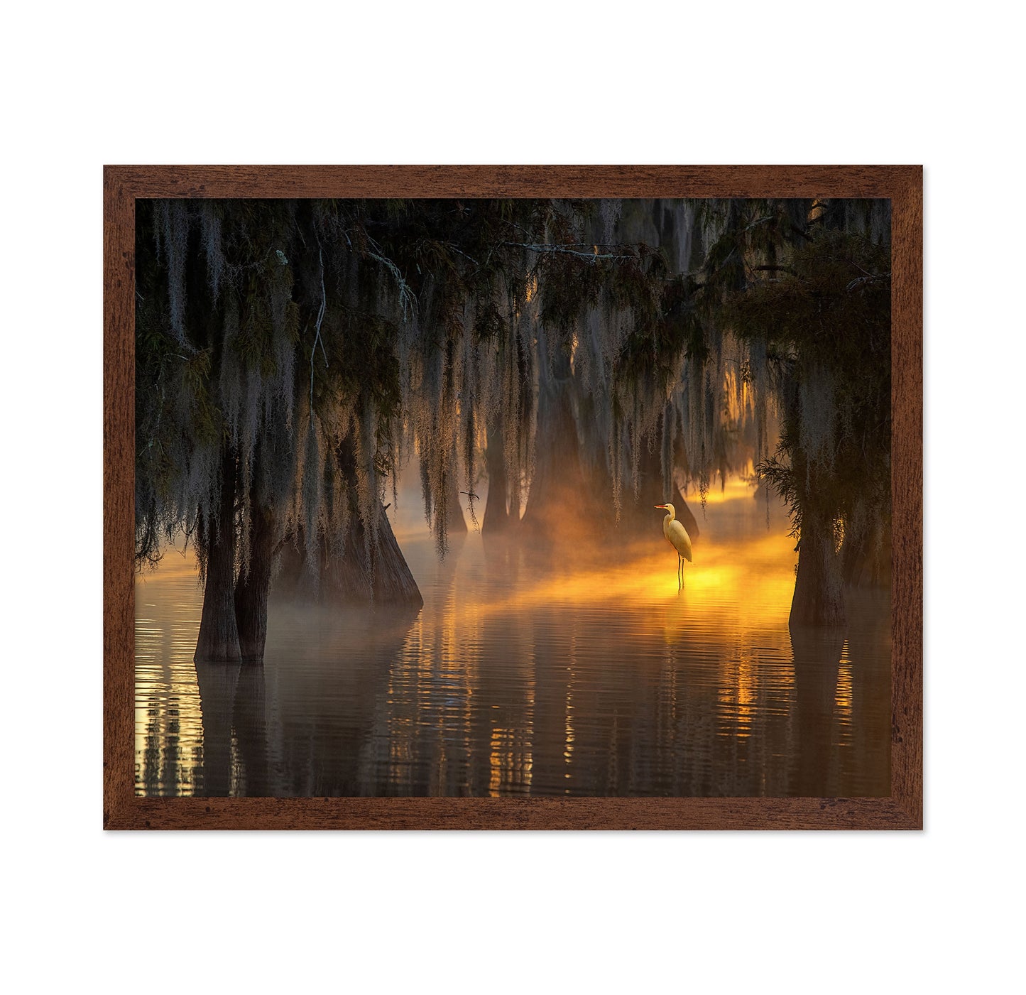 Under Spanish Moss