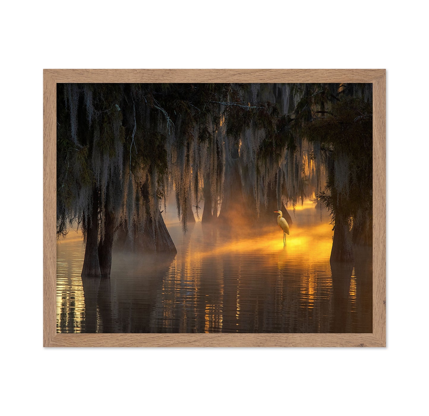 Under Spanish Moss